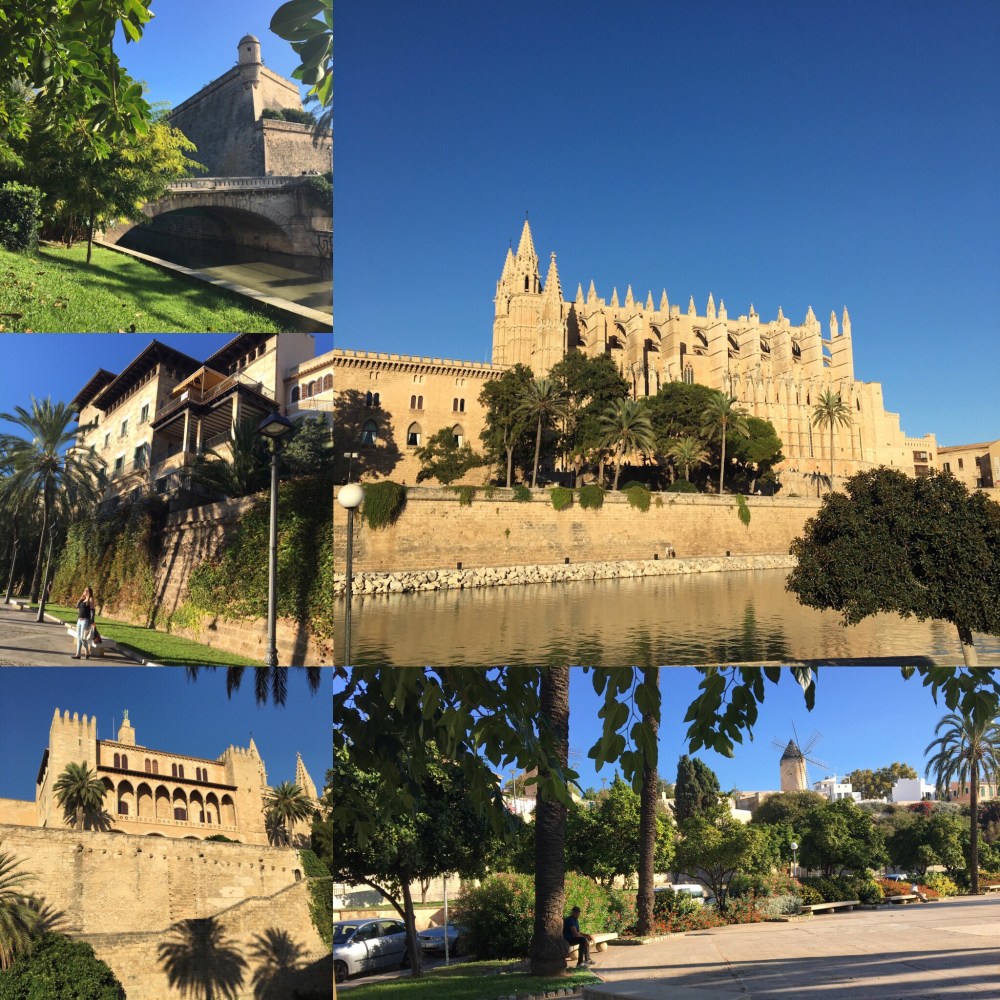 8e8c8d7b-d0a4-4442-b78c-c54d6e3e7917