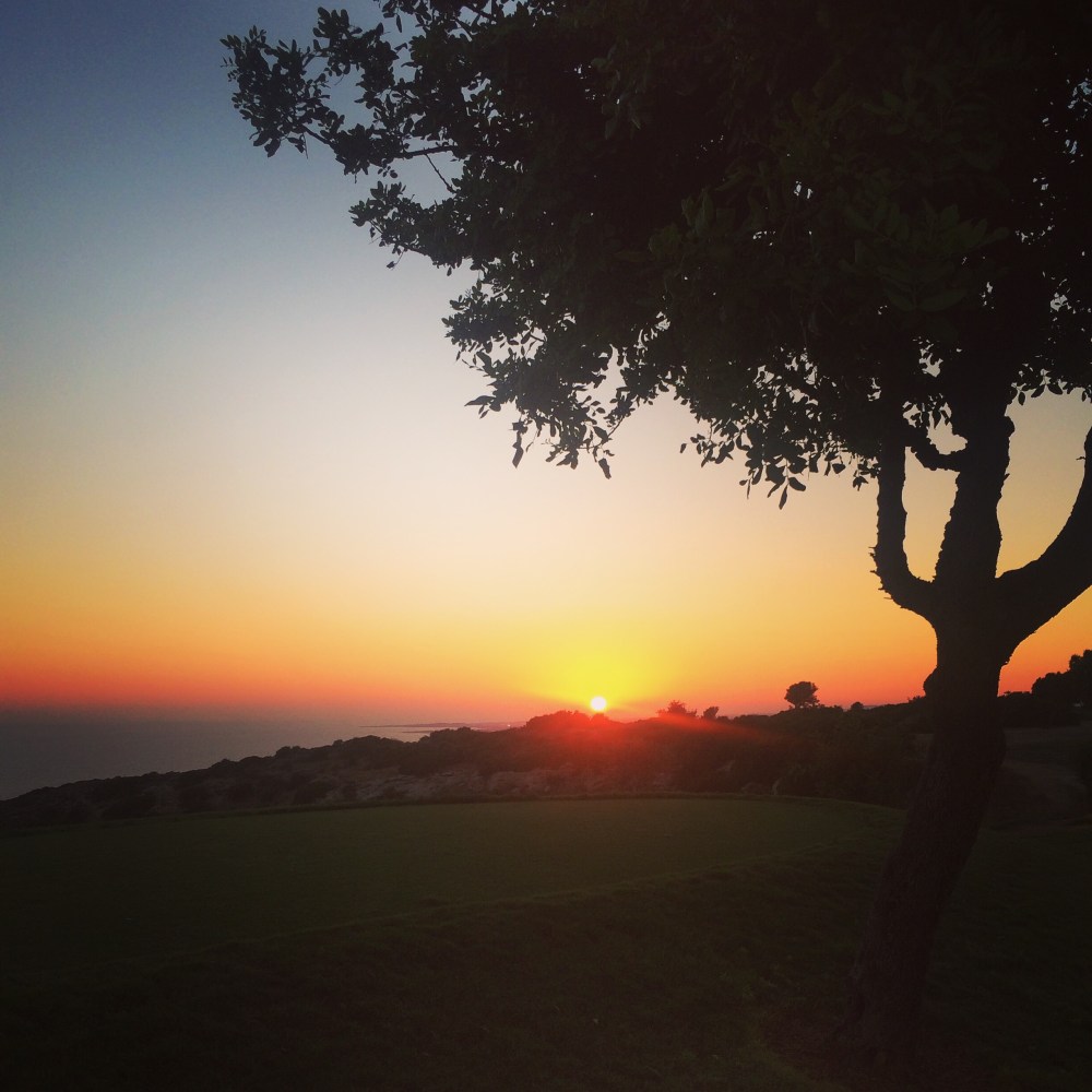 2015-07-21 19.56.39-1