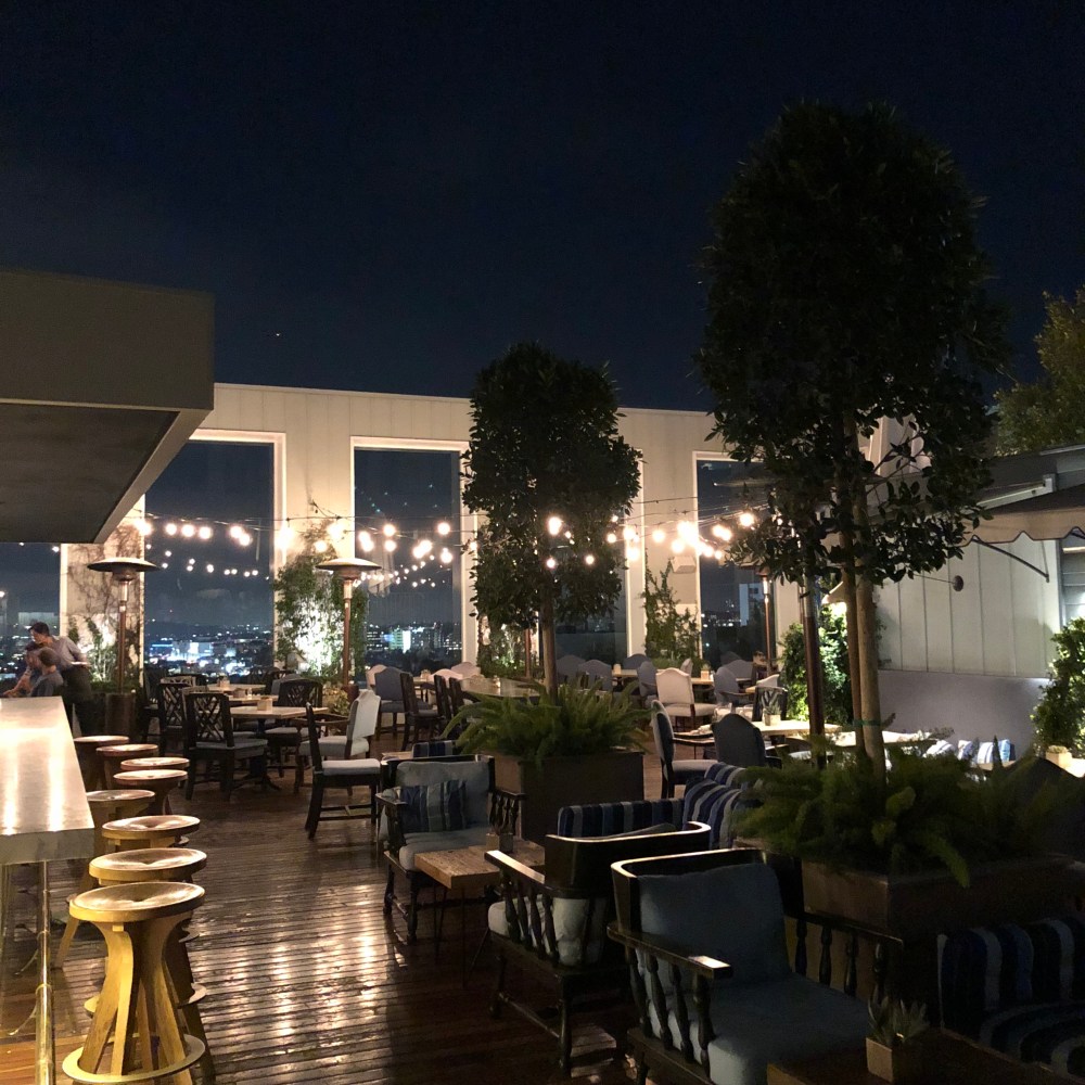 Ivory on sunset_kveld