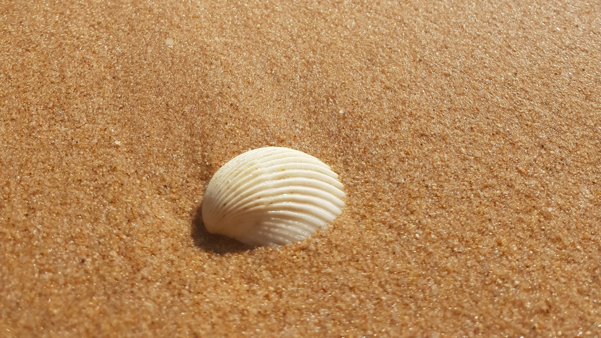 Vung Bao Resort - Phu Quoc - Vietnam