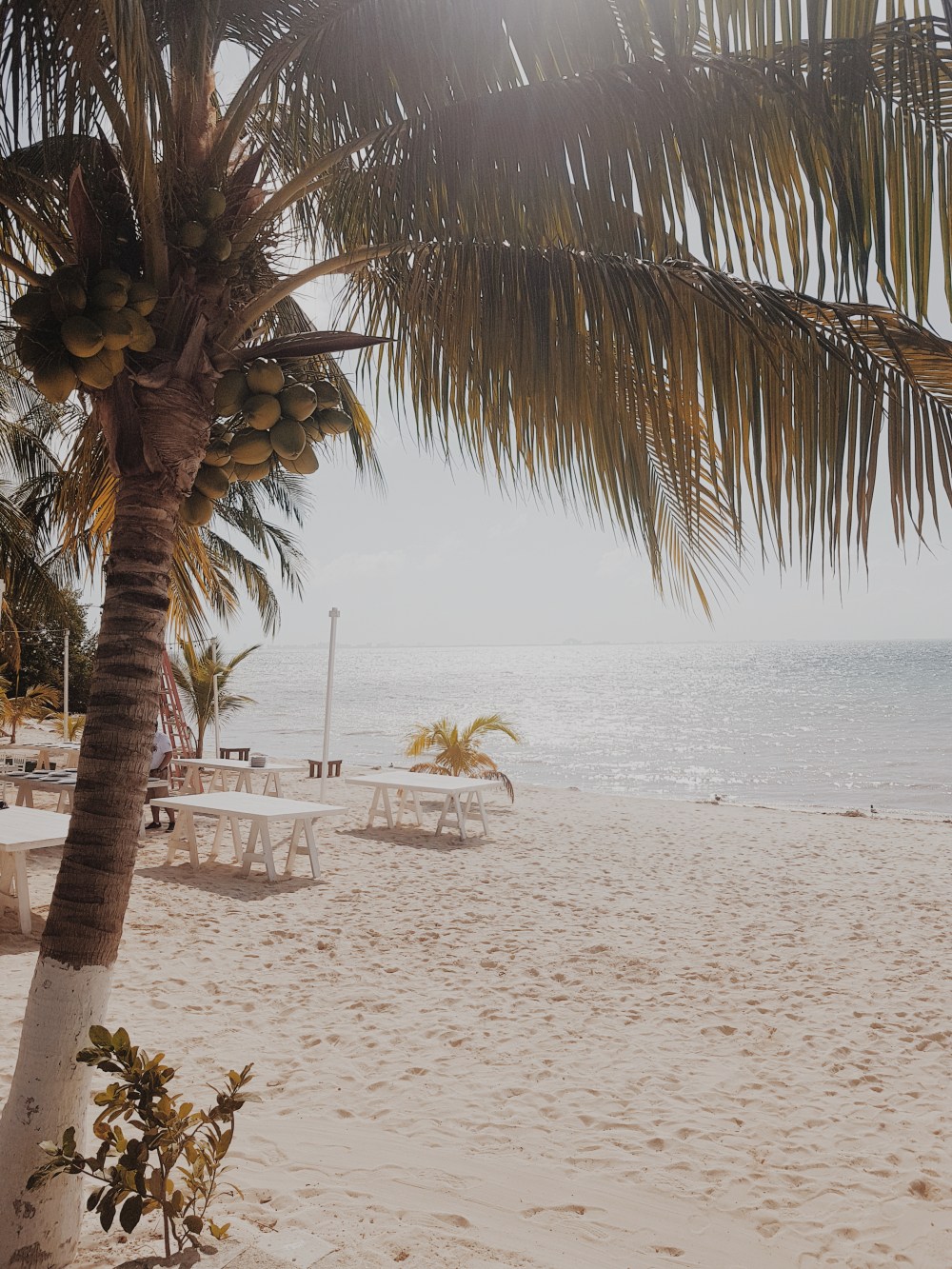 Zama Beach Club - Isla Mujeres - Mexico