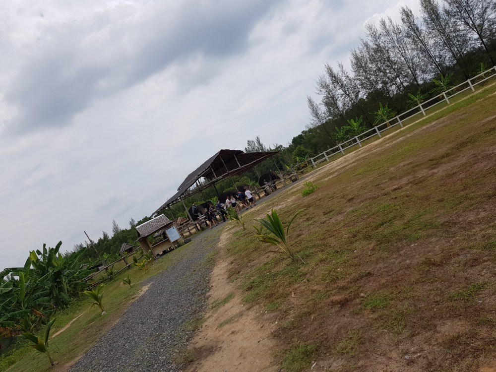 Seaside Elephant Retreat - Khao Lak - Thailand