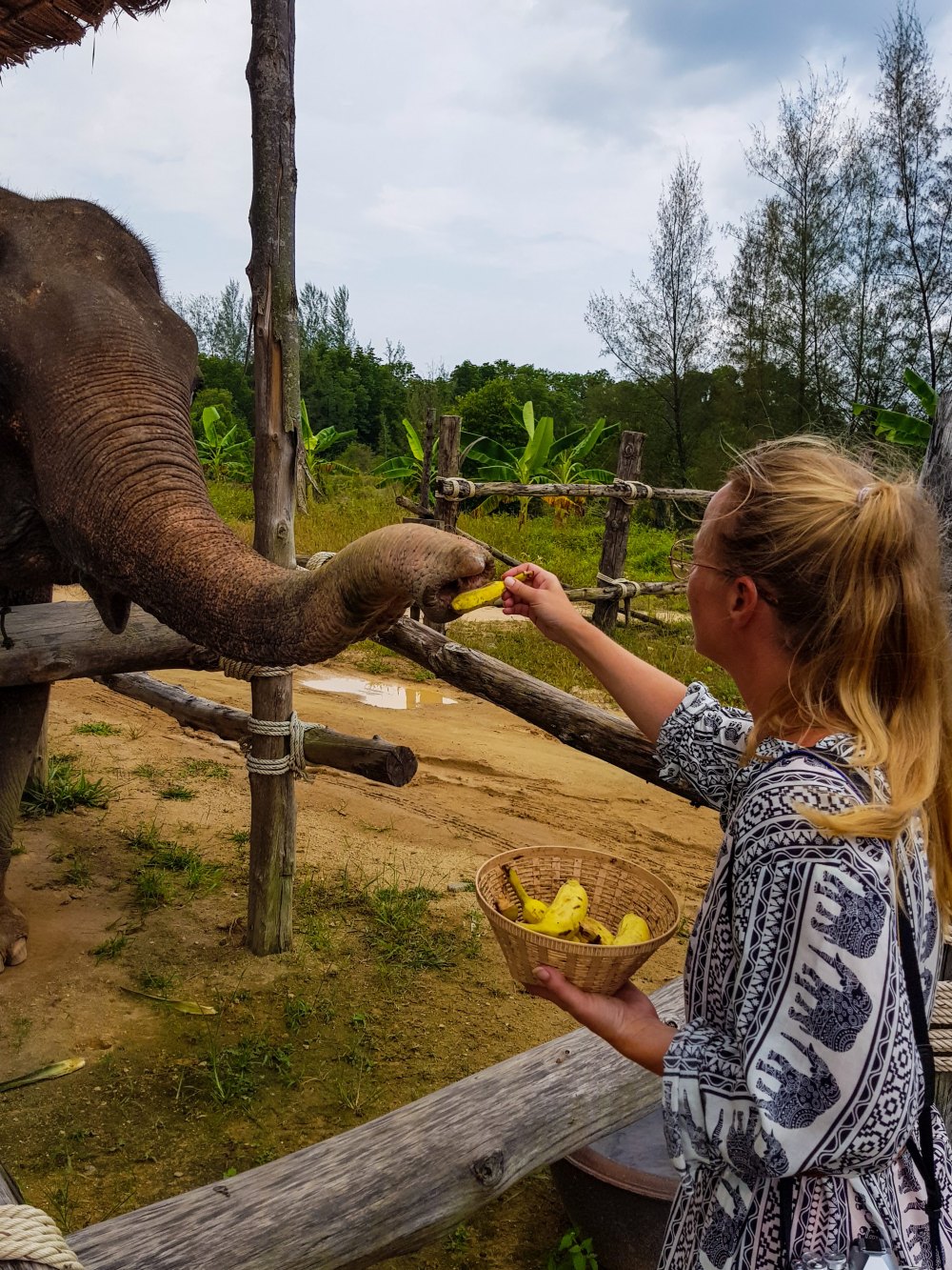 Seaside Elephant Retreat - Khao Lak - Thailand